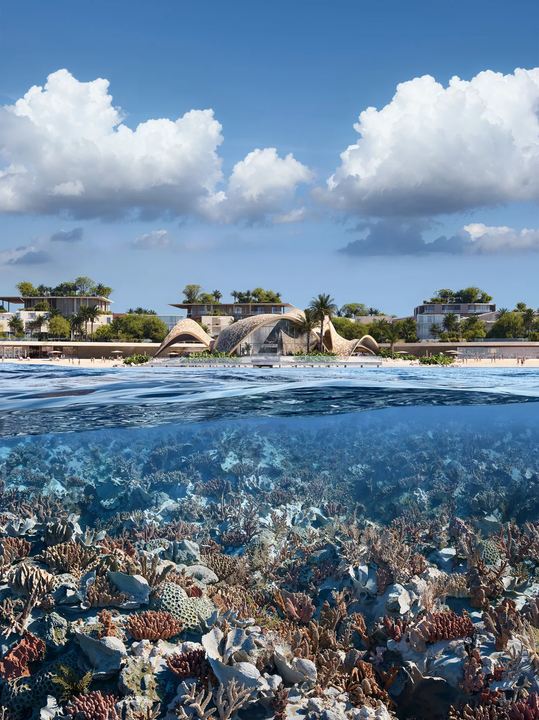 Coral reef below the waterline at Mira Coral Bay, with the community on the shore beyond